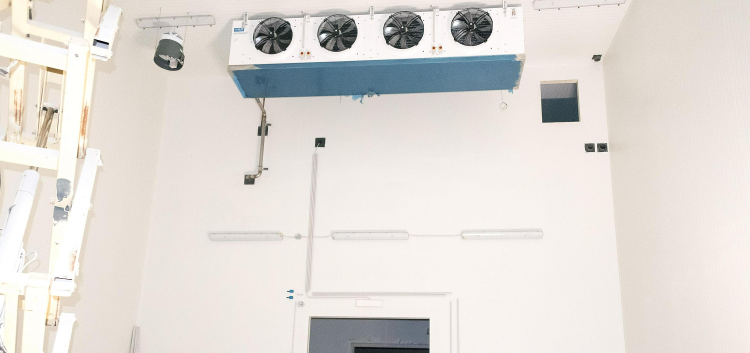 Крымская фруктовая компания, Крым