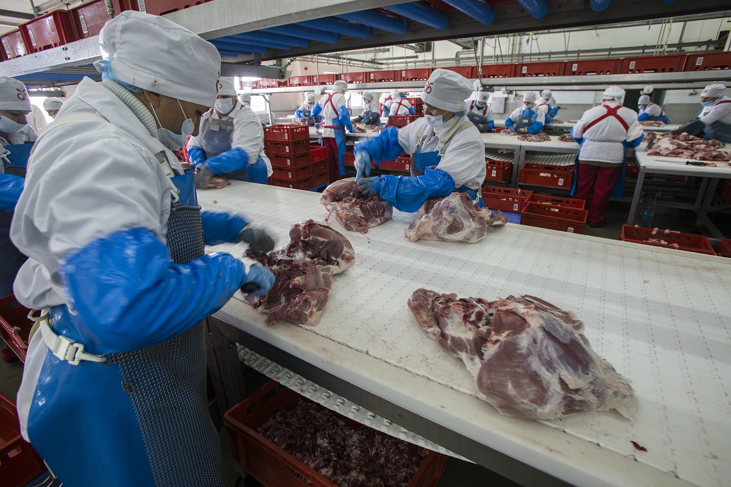 Мясохладобойня, г. Белгород, 2010-2011 гг., 2021-2022 гг.